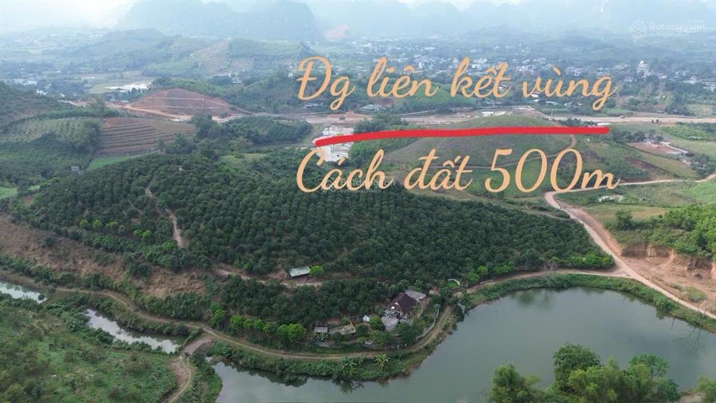 Lô đất 831m có 200tc tại kim bôi hb thế đất cao thoáng viu cánh đồng