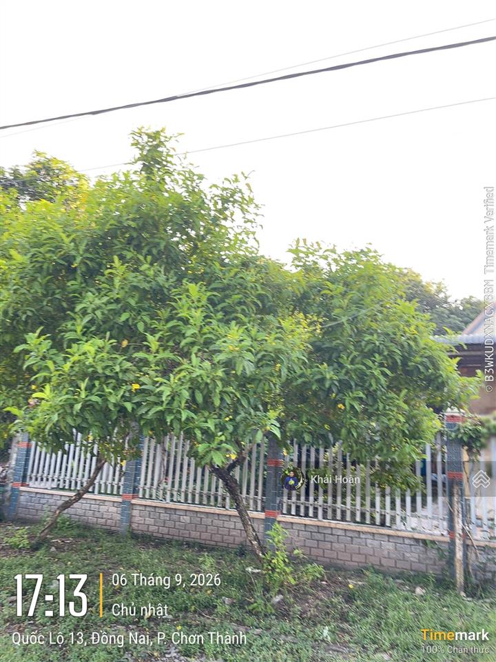 Chỉ 3.5 tỷ  700m2 đất quốc lộ 13  chơn thành bình phước, gần trạm thu phí, 7x100m  0934 081 ***