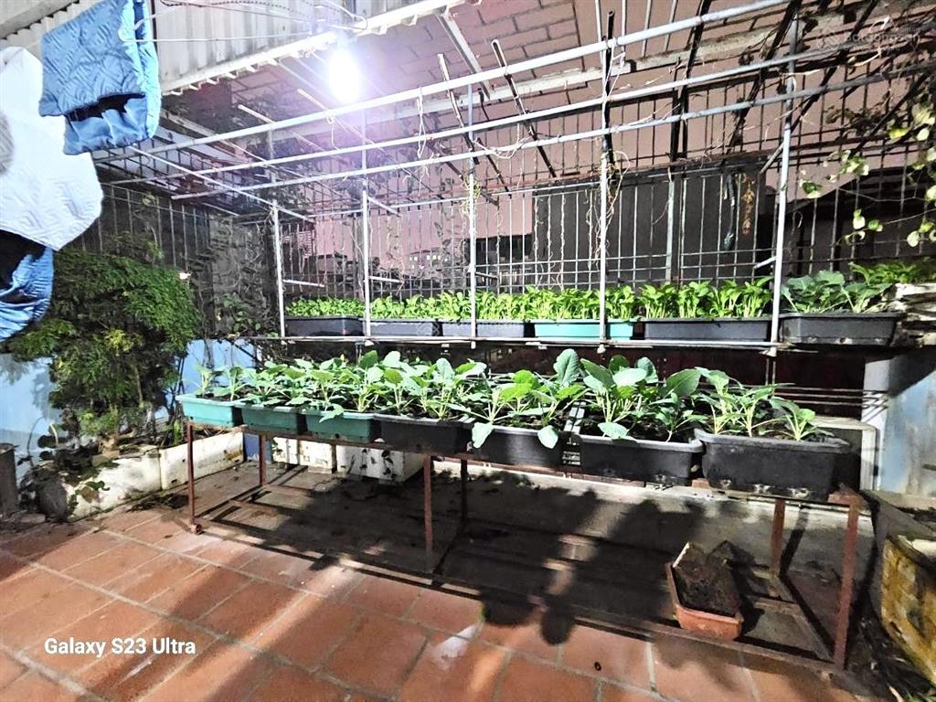 Phân lô mặt phố, nhà lô góc trần quang diệu, 2 mặt tiền, kinh doanh vô đối, chỉ 20,5 tỷ