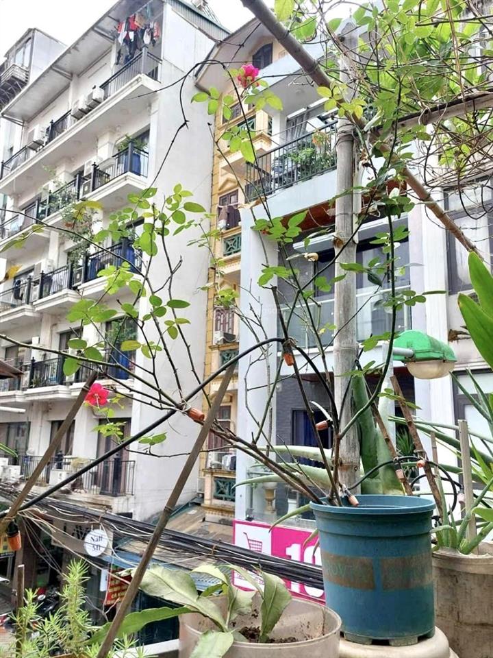 Mặt phố pháo đài láng, lô góc, vị trí vàng, mặt tiền hơn 6m, sổ hoa hậu 72m2 x 4 tầng chỉ 26 tỷ