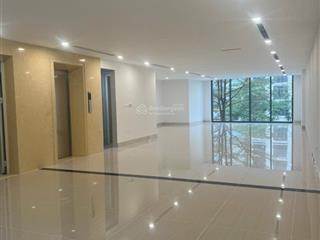 Chính chủ gửi cho thuê tòa nhà nguyên căn phố huỳnh thúc kháng 65m2*7ttm*mt6m giá 120tr/tháng