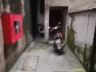 Siêu hót  cực hiếm nhà trường chinh  đống đa 25m 2 ngủ chỉ 4 tỷ ngõ cực nông