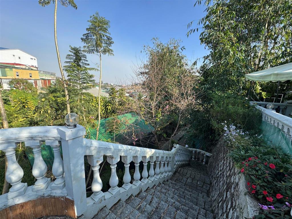 Căn homestay với quy mô gần 2000m2 giữa lòng đà lạt. 16 tỷ