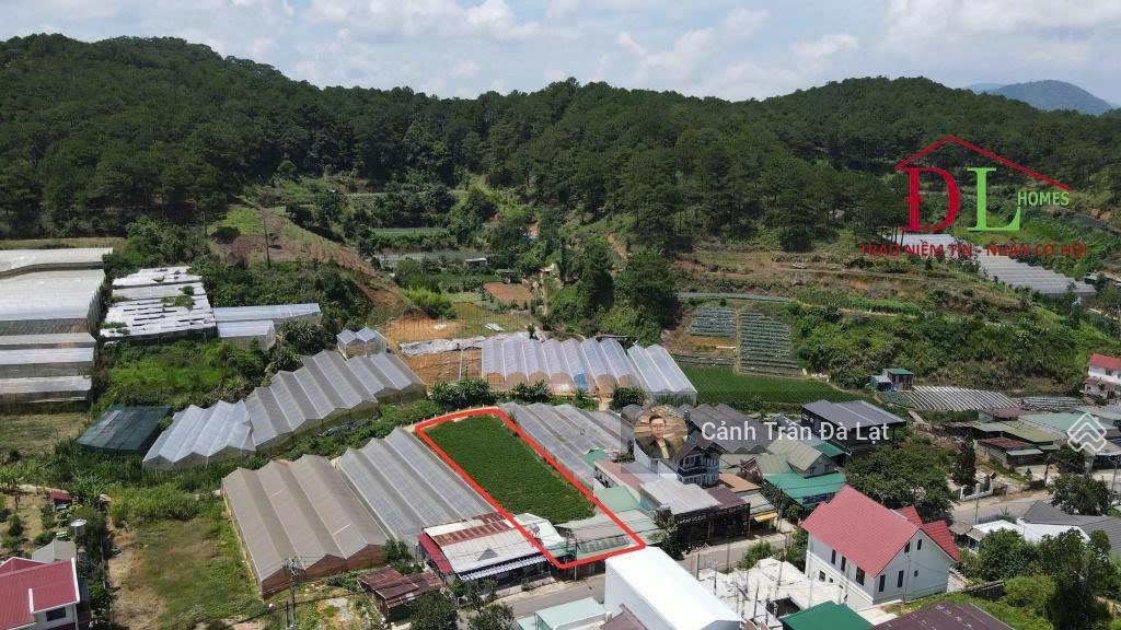 Đất mặt tiền lớn triệu việt vương, 1213,3m2, 2 mặt tiền trước sau đường oto