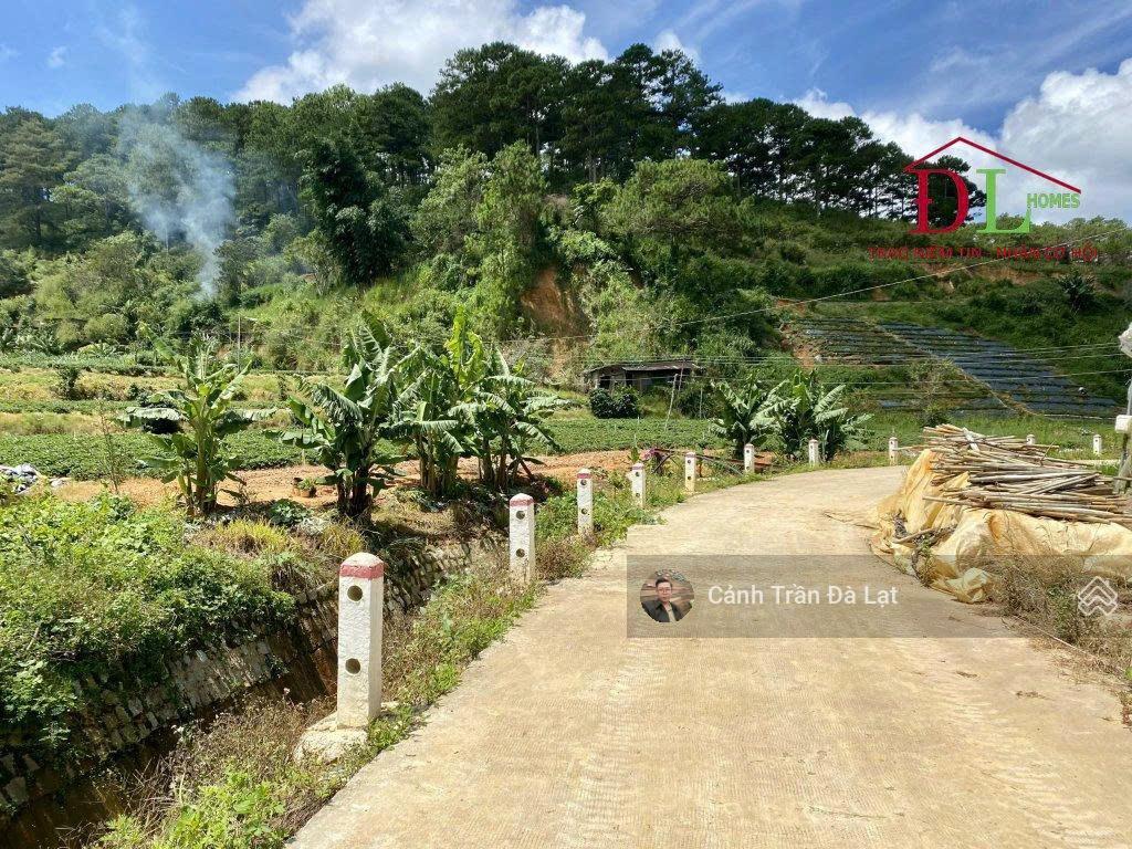 Đất mặt tiền lớn triệu việt vương, 1213,3m2, 2 mặt tiền trước sau đường oto