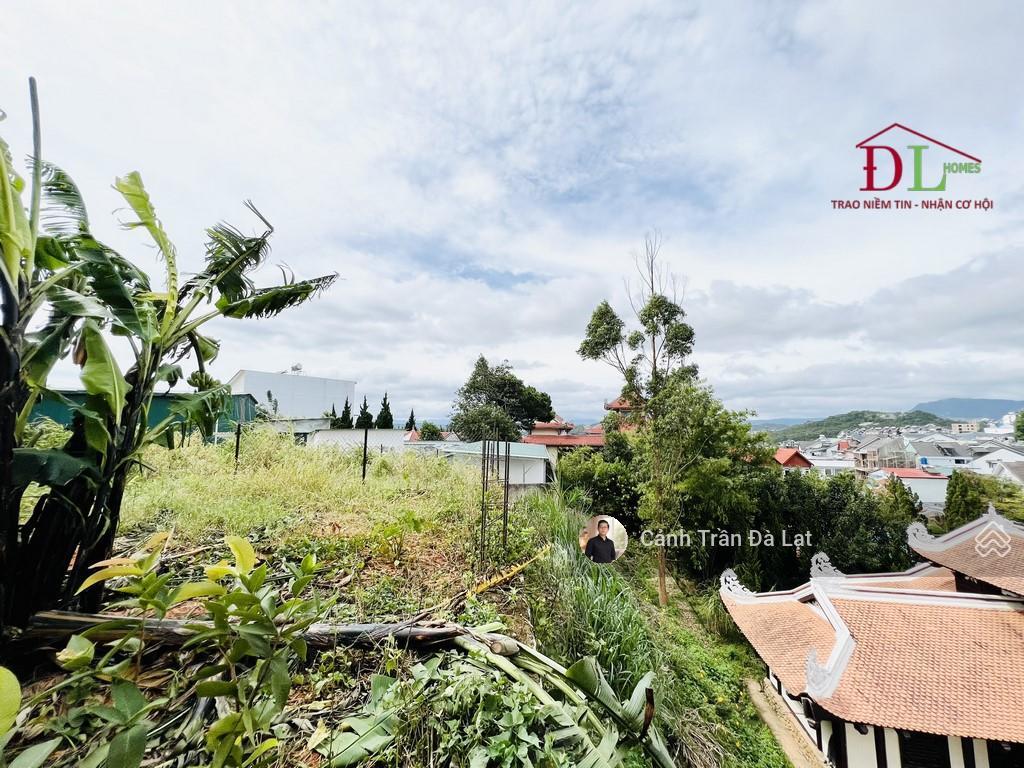Đất xây biệt thự với góc view xịn, thế đất dương vuông vóc nở hậu đẹp