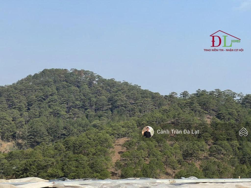 Lô đất 2 mặt tiền hoàng hoa thám, vị trí hiếm có với góc view cận thông