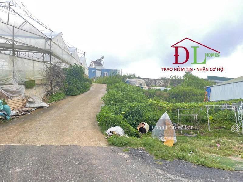 Bán gấp đất 2 mặt tiền đường ô tô bạch đằng đà lạt | 200m thổ cư, chỉ 6,5 tỷ