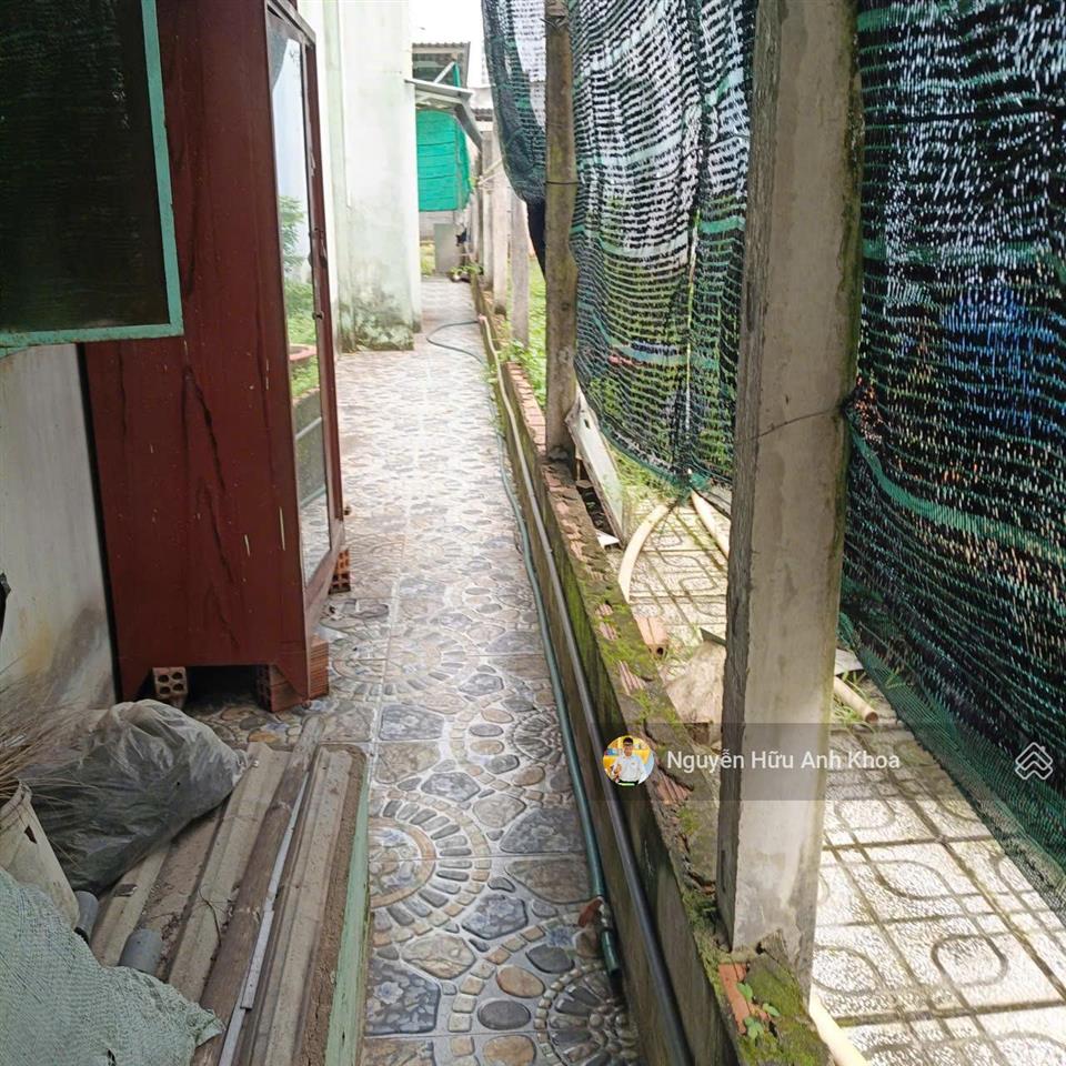 Bán nhà tặng đất ngay mt đ. bàu tre, tân an hội. dt 270m2 có 70m2 thổ cư. sổ riêng, giá 1 tỷ 295