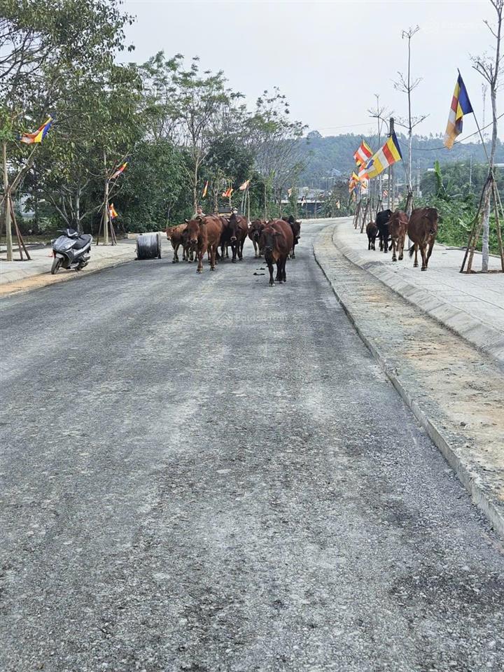 Bán lô đất 100m² thổ cư tại hòa thạch. hai mặt đường trước sau, thoáng đẹp dễ quy hoạch công năng.