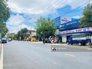 Bán gấp mặt tiền kinh doanh sầm uất nguyễn đình chiểu đà lạt cách hồ xuân hương 2 phút 371m2, 43 tỷ