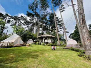 Gia đình bán gấp căn nhà view và lưng tựa đồi thông khe sanh đà lạt cực chill, 892m2, chỉ 32 tỷ