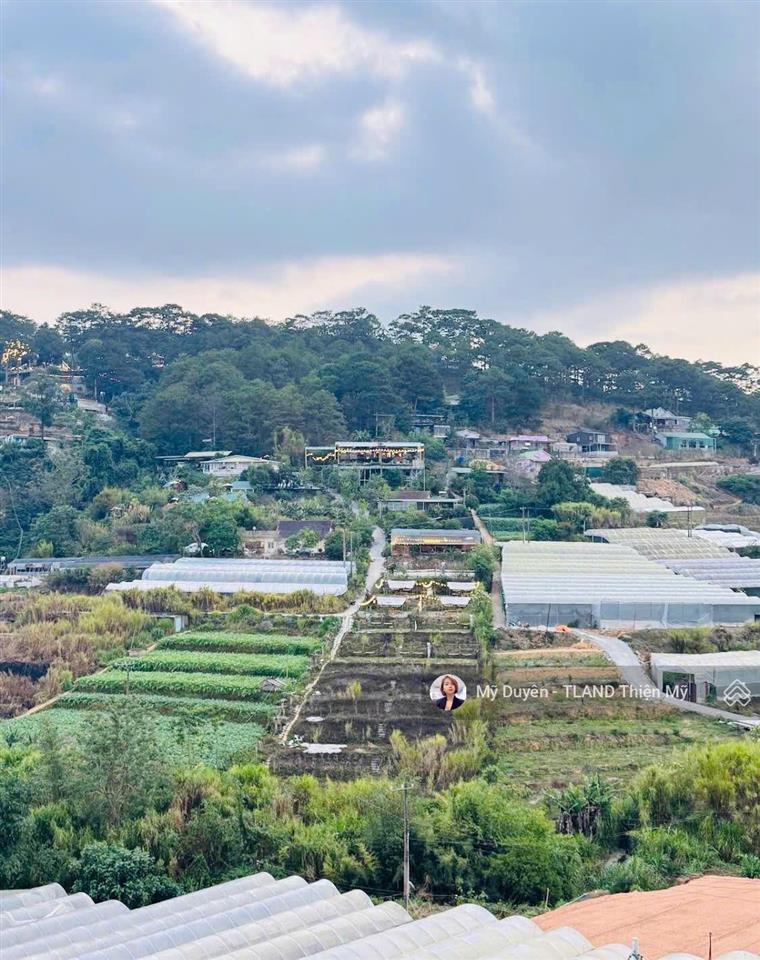 Bán gấp đất giá rẻ view thoáng đường trịnh hoài đức p11 đà lạt 393.5m2 chỉ 8 tỷ thương lượng