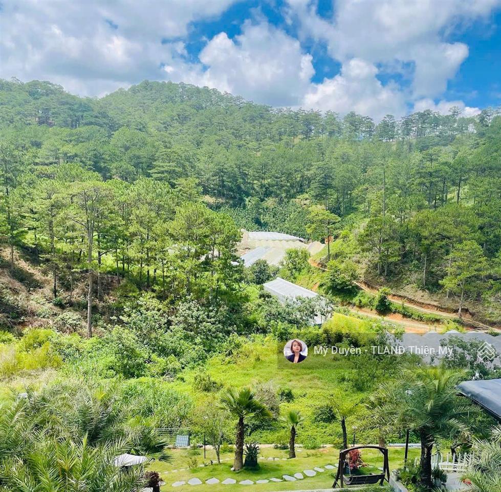 Xoay việc bán nhanh khuôn đất lớn view thông xanh hoàng hoa thám đà lạt 2843m2 chỉ 39 tỷ tl