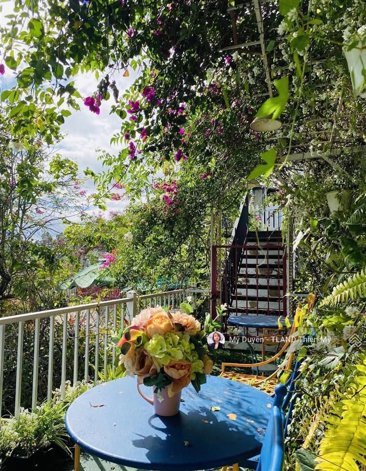 Bán nhanh homestay sân vườn tràn ngập hoa tại đống đa đà lạt 727m2 43 tỷ