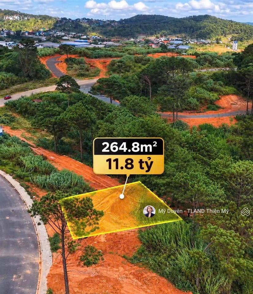 Giá cực tốt bán nhanh đất giáp thông view xanh vĩnh viễn an sơn đà lạt 264.8m2 giá 11.8 tỷ