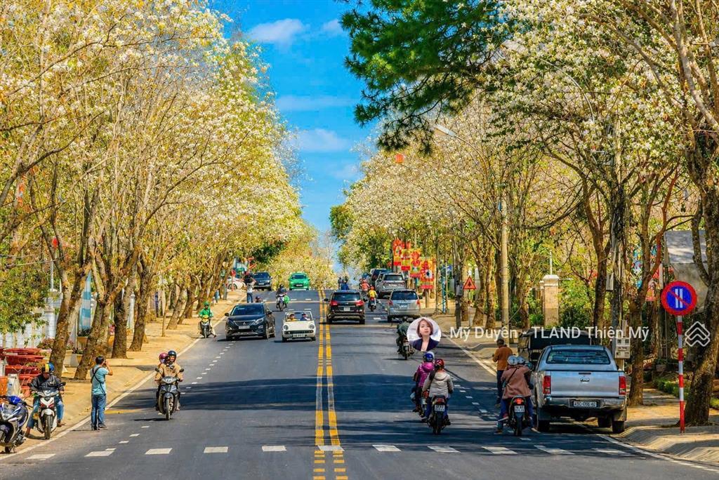 Bán nhanh nhà cũ tiện xây mới mặt tiền quang trung đà lạt 420m2, giá tốt chỉ 48 tỷ thương lượng