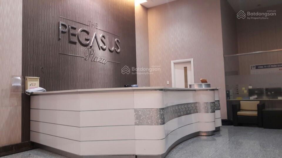 Chuyên cho thuê căn hộ pegasus plaza  căn đẹp giá tốt  ngô sang 0931 555 ***