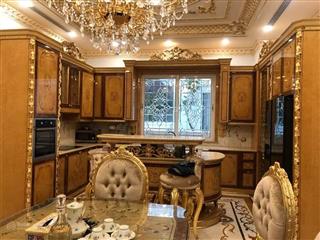 Mặt phố trần quang diệu oto 4 làn vỉa hè khủng, 85m2*7t thang máy, kd đỉnh, ở vip dt 1,5 tỷ/năm