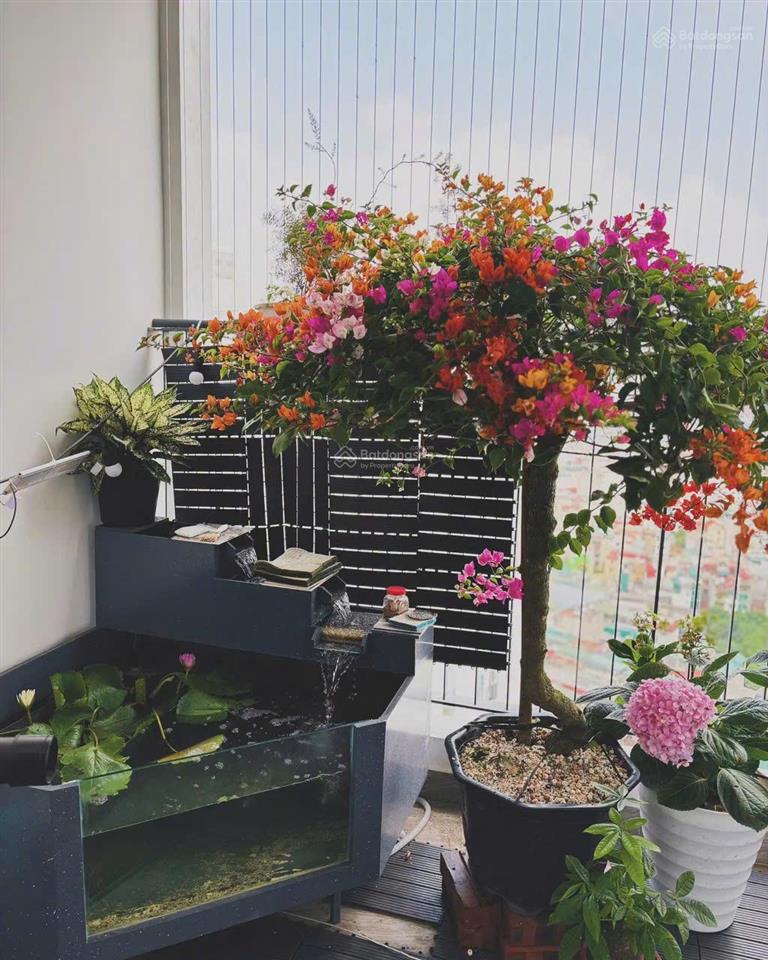 Cần tiền bán gấp căn hộ 3pn, 2wc, diện tích 114m², căn sân vườn nổi bật dự án.  0964 161 ***