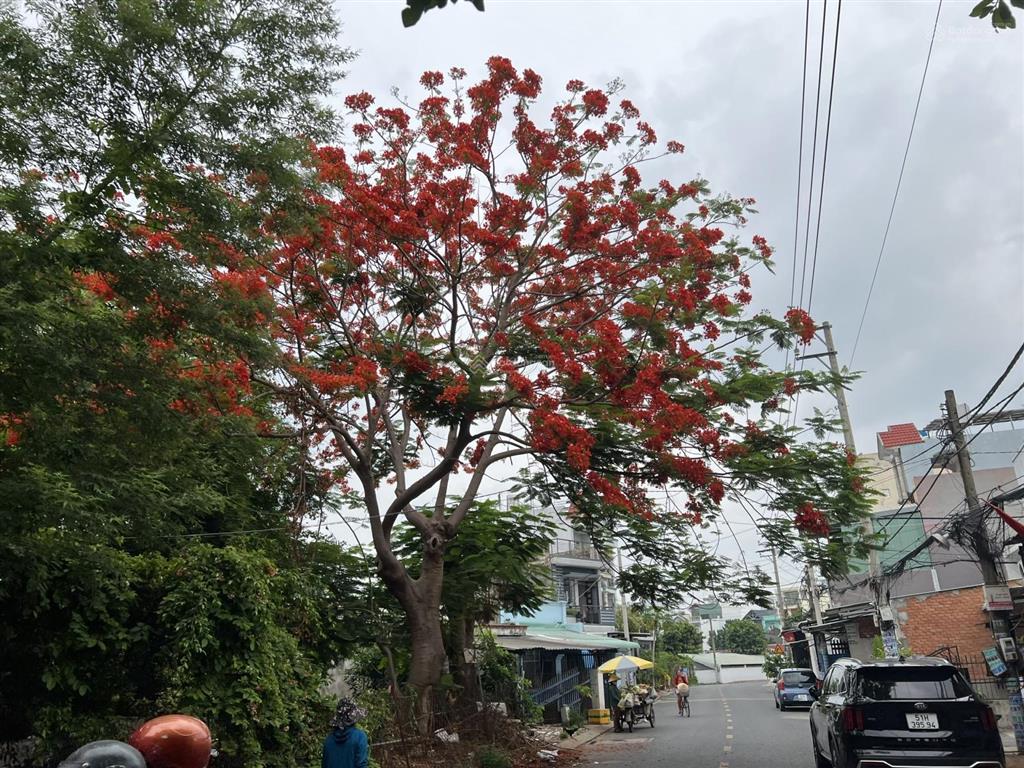 Bán nhà c4 xây chdv hẻm 6m đường huỳnh thị hai, dt 6mx24m, giá 6.6 tỷ