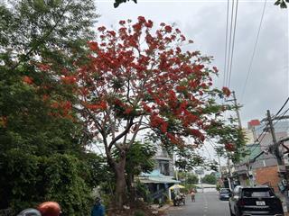 Bán nhà c4 xây chdv hẻm 6m đường huỳnh thị hai, dt 6mx24m, giá 6.6 tỷ