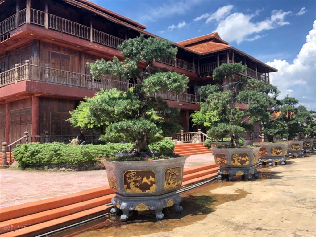 Cần bán khu nghỉ dưỡng cao cấp tại thị trấn cần thạnh cần giờ rất đẹp, có nhà gỗ cao cấp, cây cảnh