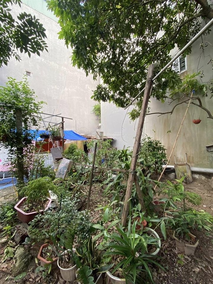 Chính chủ bán đất phúc lợi, 32m2 mặt tiền 3.7m, nở hậu, 15m ra mặt đường ô tô tránh dừng đỗ