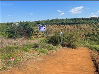 Ngân hàng thanh lý bđs tại xã lộc an, huyện bảo lâm, tỉnh lâm đồng