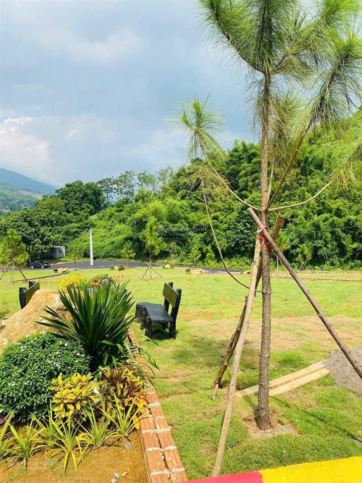 Gấp, chính chủ càn bán lô đất 300m view cao thoáng tại phú cát, trước mặt là vành đai 5 và hồ to