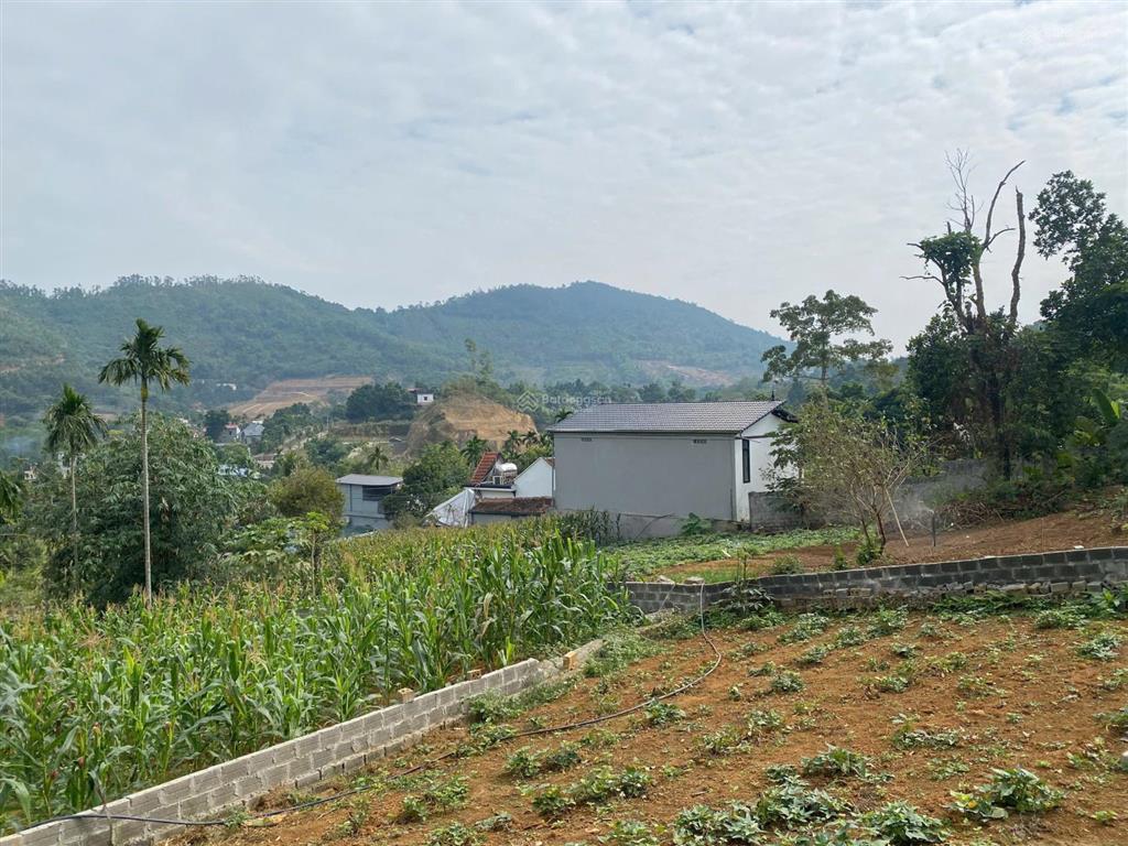 Gấp, chính chủ càn bán lô đất 300m view cao thoáng tại phú cát, trước mặt là vành đai 5 và hồ to