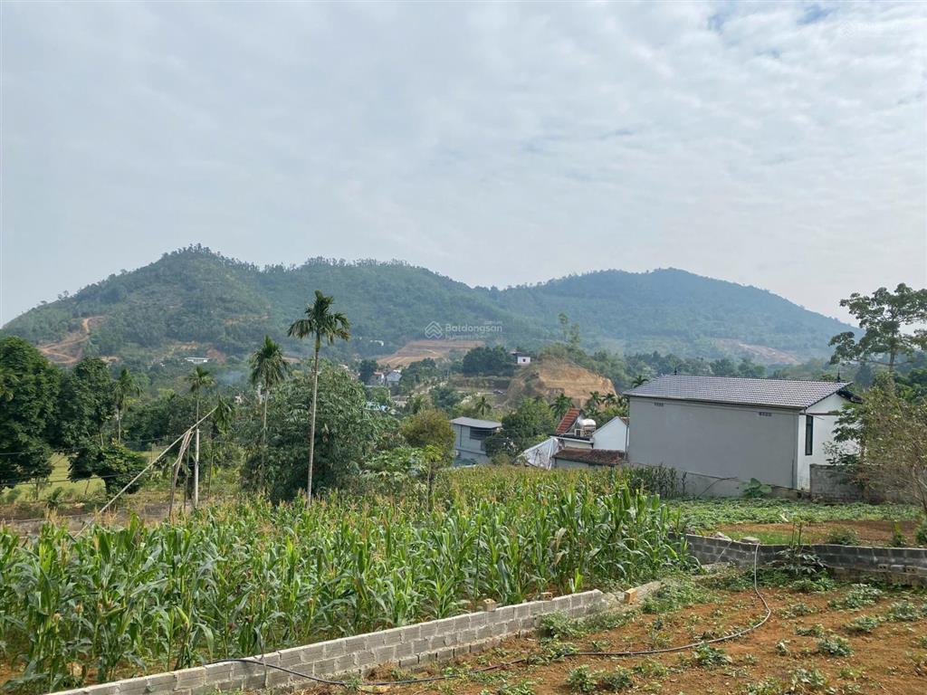 Gấp, chính chủ càn bán lô đất 300m view cao thoáng tại phú cát, trước mặt là vành đai 5 và hồ to