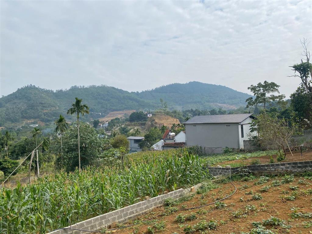 Gấp, chính chủ càn bán lô đất 300m view cao thoáng tại phú cát, trước mặt là vành đai 5 và hồ to