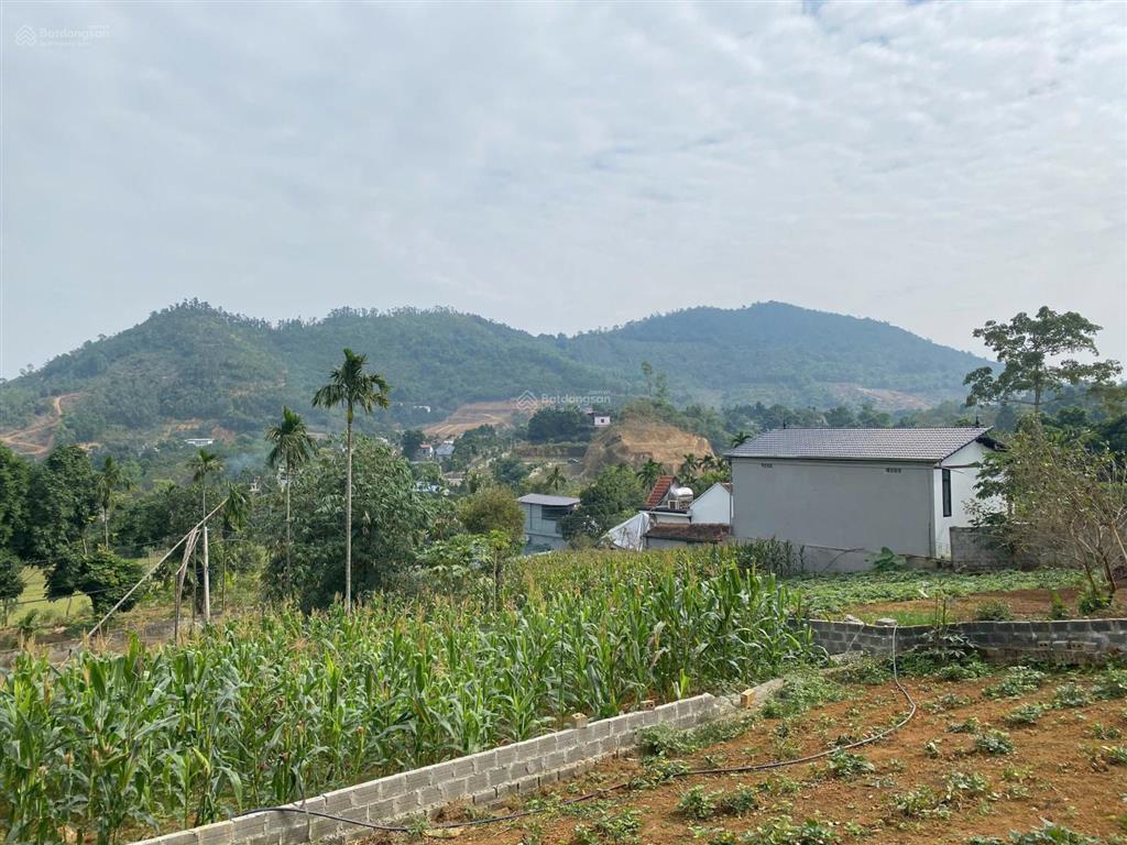 Gấp, chính chủ càn bán lô đất 300m view cao thoáng tại phú cát, trước mặt là vành đai 5 và hồ to