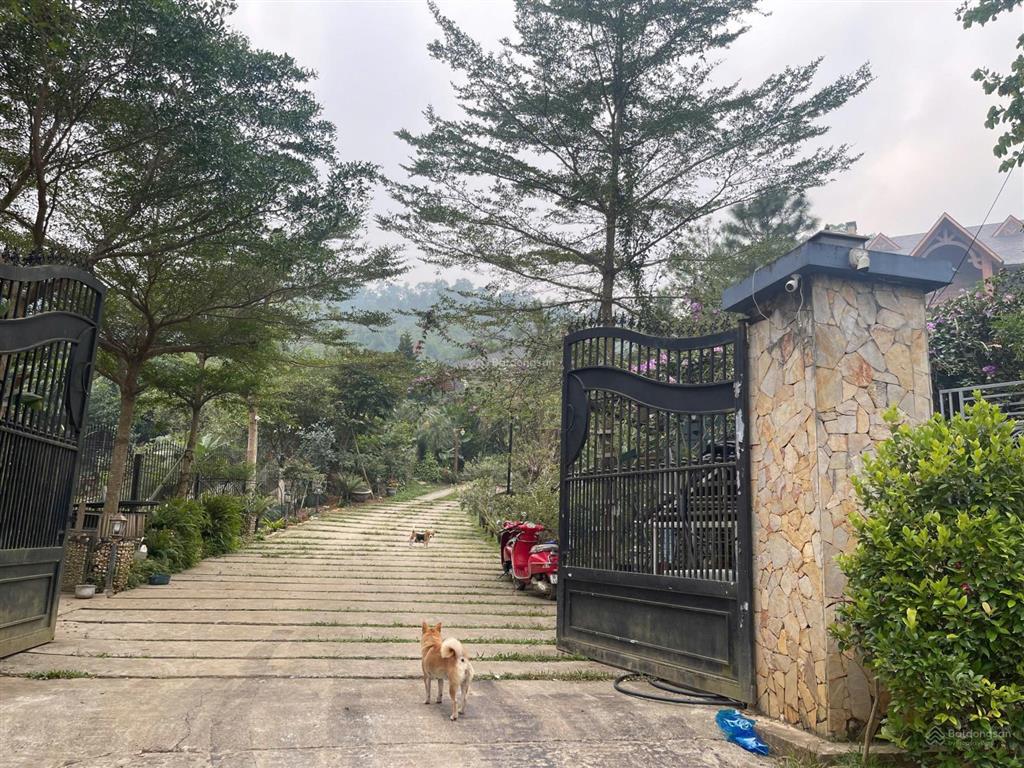 Gia đình em cần tiền cắt bán 320m2 khu làng hà nội, mặt đường nhựa 14m vuông vắn siêu đẹp, giá rẻ