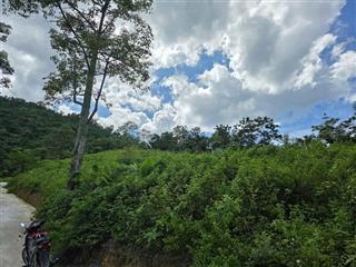 Mảnh đất siêu rẻ ngay hoà lạc không khí trong lành.