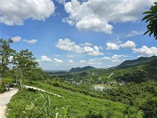 Bán đất vườn giá rẻ tại yên xuân hà nội