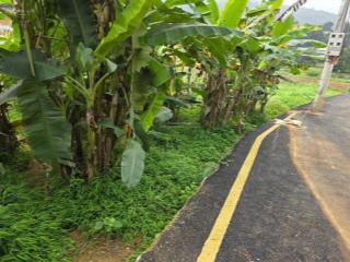 Lô đất nhỏ xinh giá chỉ 88 triệu tại phú cát, hà nội