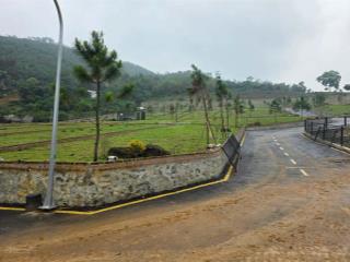 Còn duy nhất 1 lô hoa hậu tại hòa lạc