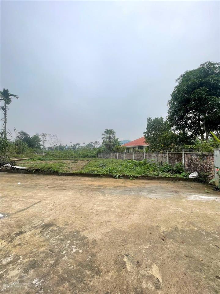 Đất đẹp thôn 5 yên bình giá siêu tốt diện tích 182m