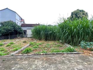 Lô đất siêu rẻ không lỗi phong thủy tại hạ bằng diện tích 64,6m