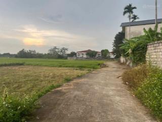 Siêu phẩm view cánh đồng bao la phú mãn, quốc oai, hà nội diện tích 531m (500m thổ cư)