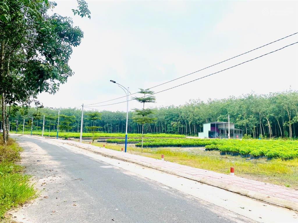 Bán đất quá ngộp chơn thành, đường nhựa 32m, giá 400tr (0969 467 ***)