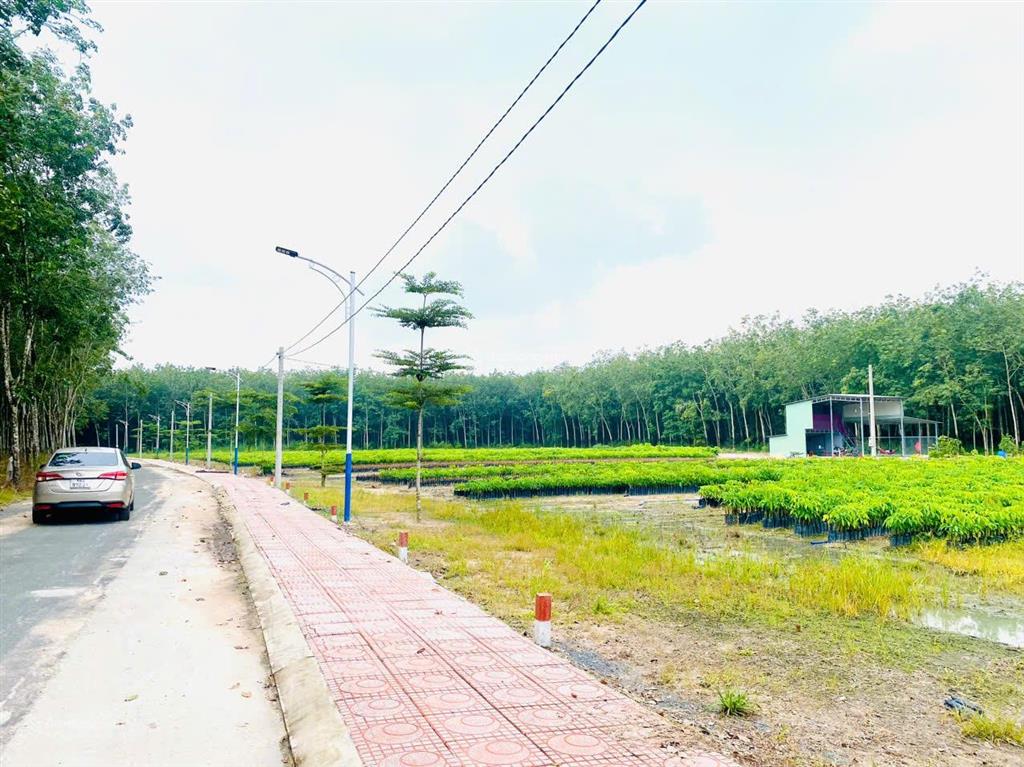 Bán đất giá cực ngộp, chơn thành, 200m2 ( 0969 467 ***)