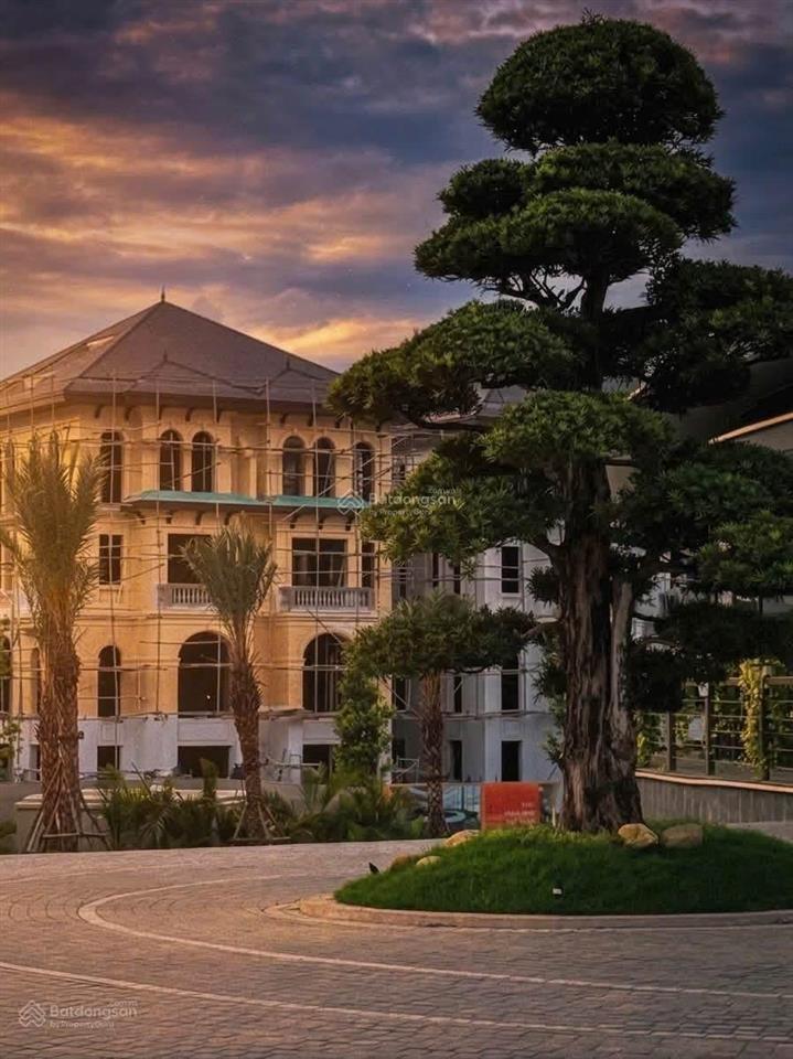 Chủ đầu tư mở bán quỹ căn biệt thự, liền kề aluvia city