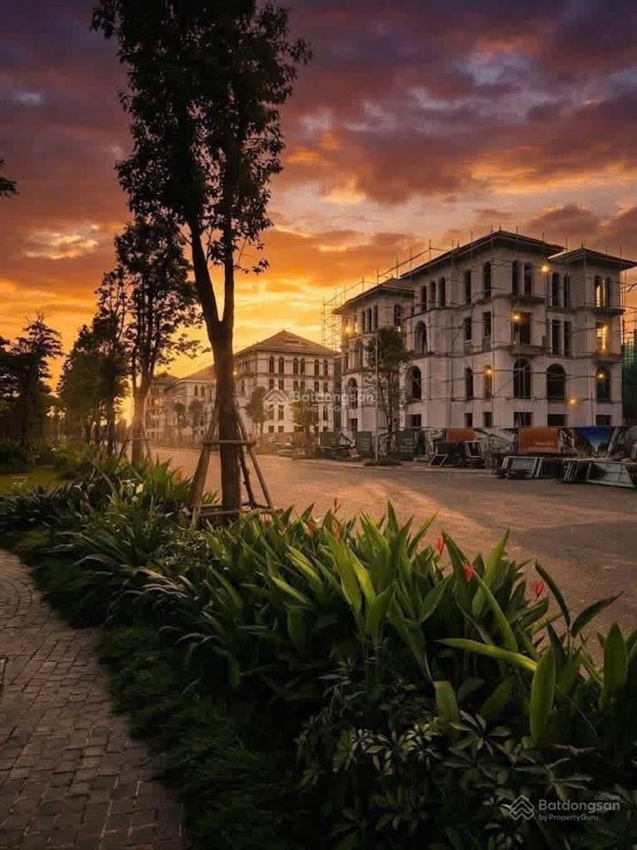 Chủ đầu tư mở bán quỹ căn biệt thự, liền kề aluvia city
