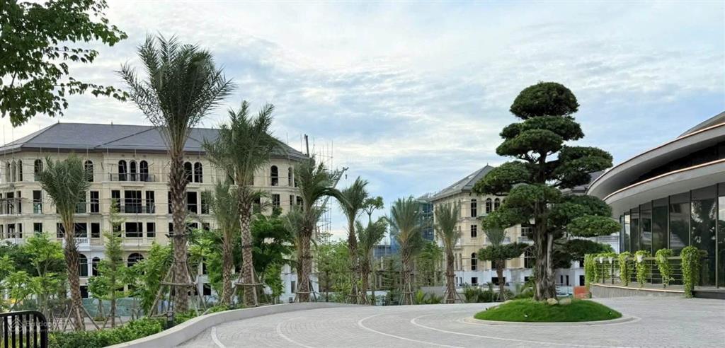 Chủ đầu tư mở bán quỹ căn biệt thự, liền kề aluvia city