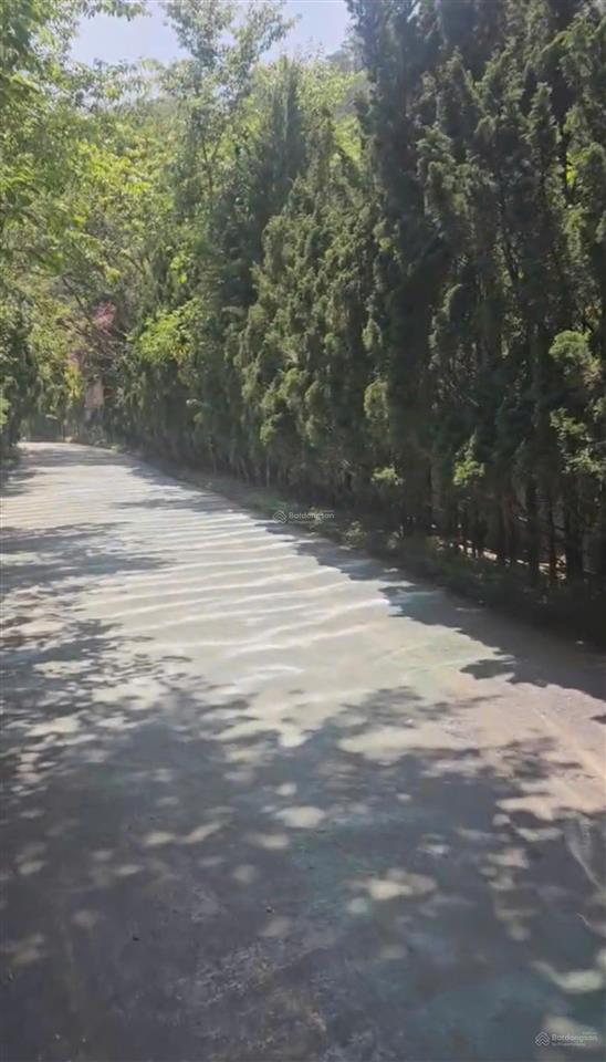 Bán đất xã lạc dương, lâm đồng. ngang 17m cn 1253m, đang kinh doanh, giá 26 tỷ