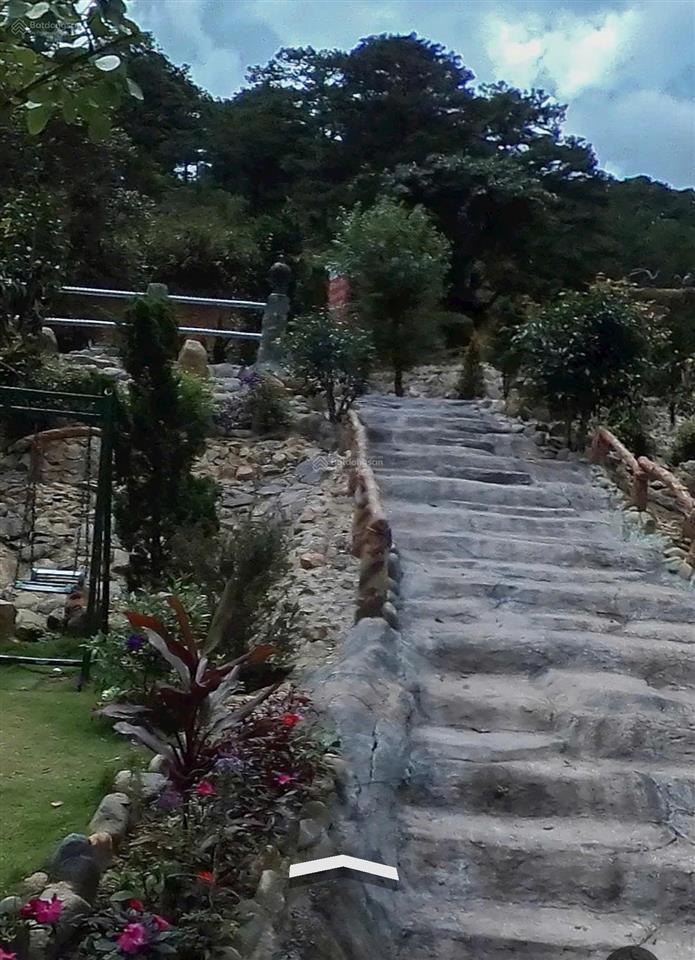 Bán đất xã lạc dương, lâm đồng. ngang 17m cn 1253m, đang kinh doanh, giá 26 tỷ