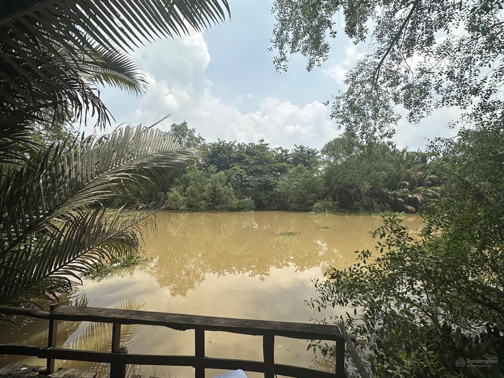 Bán đất nền thổ cư 4x24.5m, đường 8 98m2, đường 10m